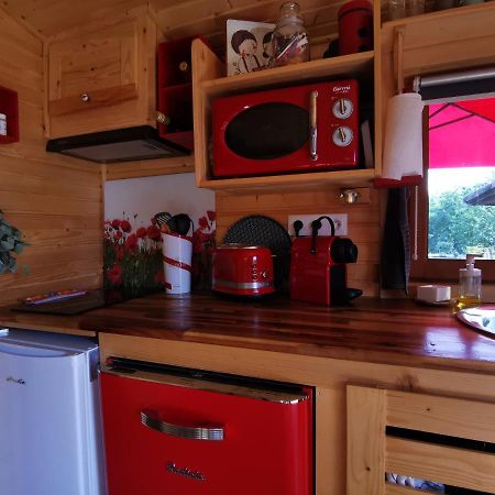 La Roulotte Du Cagire - 4 Pers - Pyrenees Guest House Villeneuve-de-Riviere ภายนอก รูปภาพ